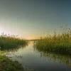 Lago_Arboles